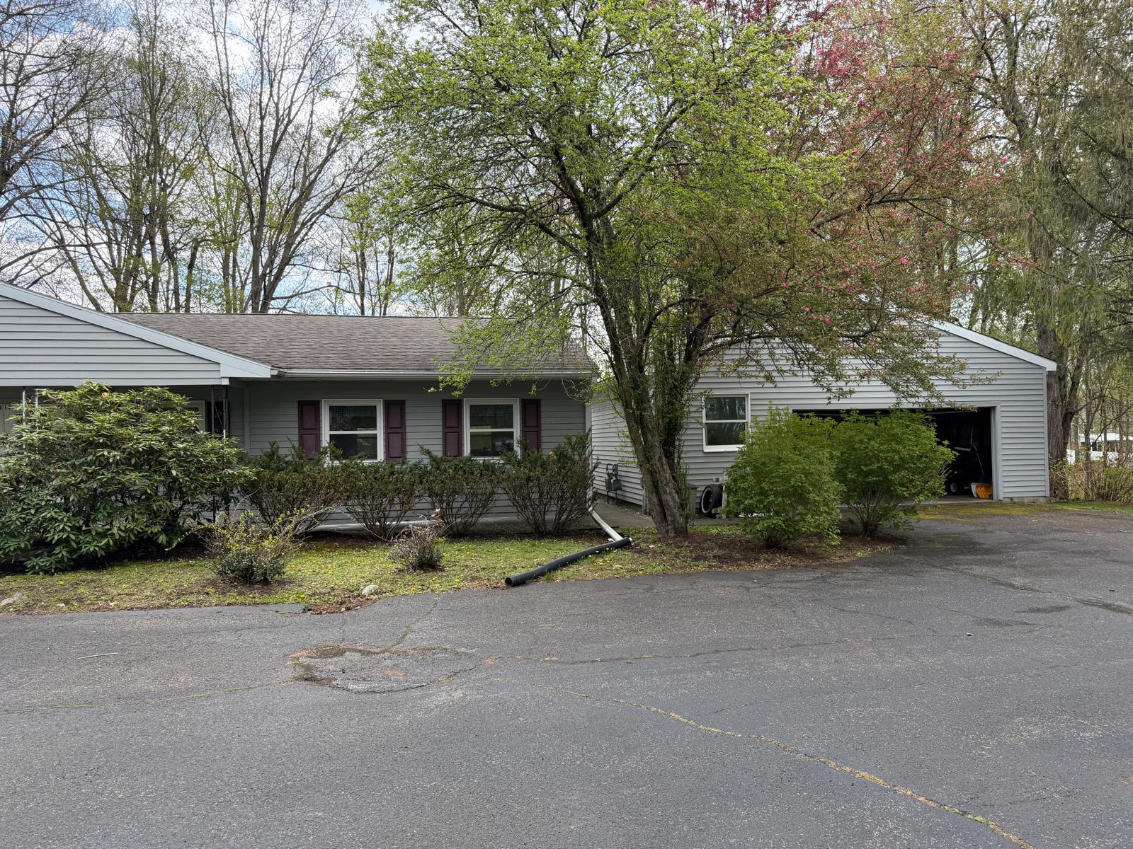 Property grounds and surrounding trees